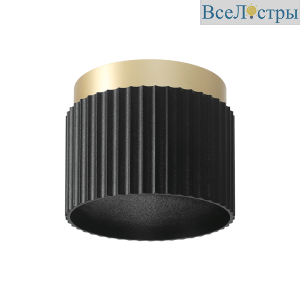 Накладной светильник WOLTA Muse WSL-GX53/19BG