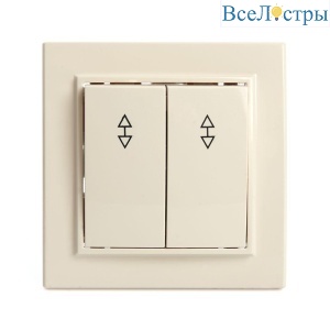 Переключатель двухклавишный Stekker Эрна слоновая кость PSW10-9008-02 39920