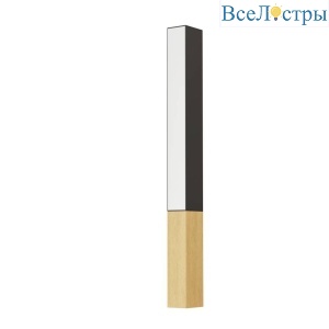 Настенный светильник Eglo Tudons 900871