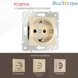 Розетка с заземлением и шторками Arte Milano 203.40-1.shampan
