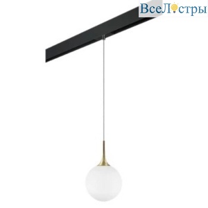 Трековый светильник Lightstar Globo (813032+595007) PRO813032