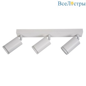 Спот Brizzi Aras BR08091