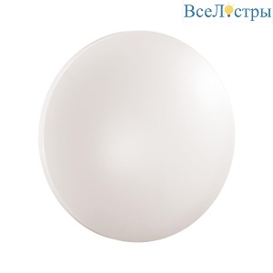 Потолочный светильник Sonex Pale Simple 3017/CLN