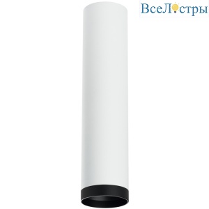 Накладной светильник Lightstar Rullo R4963437 (214496+203437)