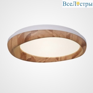Потолочный светильник ImperiumLoft Runis 219476-26