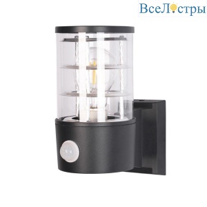 Уличный настенный светильник Arte Lamp Tokyo A5316AL-1BK