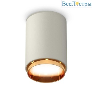Комплект потолочного светильника Ambrella light Techno Spot XC (C6314, N6124) XS6314024
