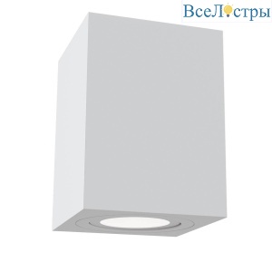 Потолочный светильник Maytoni Alfa C017CL-01W