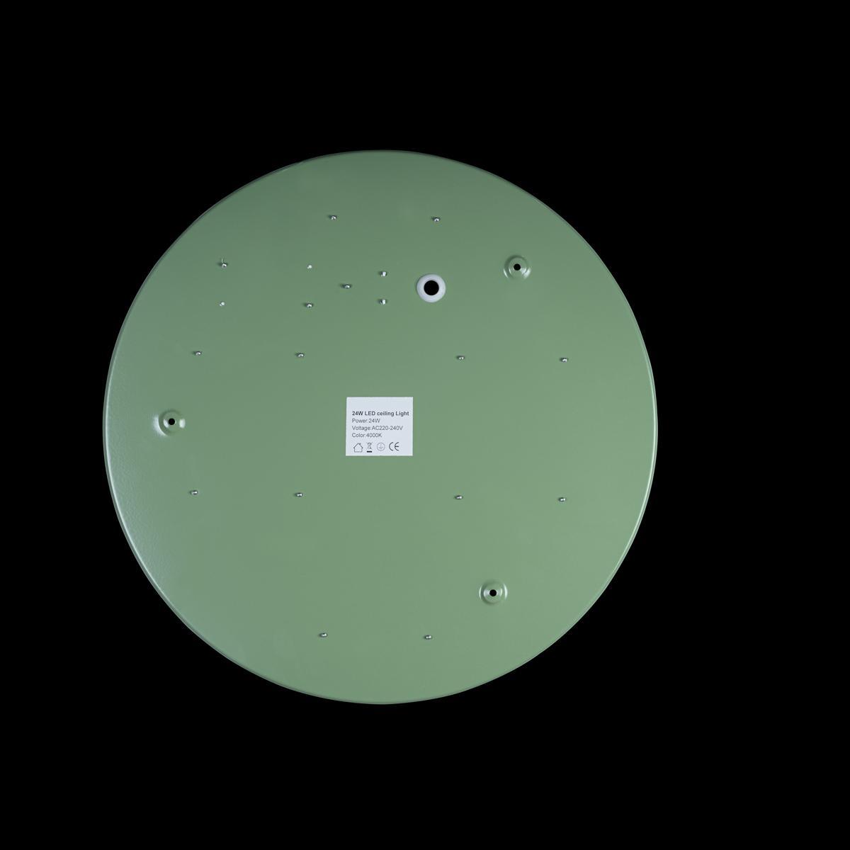 потолочный светодиодный светильник loft it axel 10002/24  green