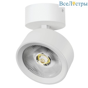 Накладной светильникAlta Pro Lightstar A5646SO