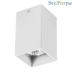 Накладной светильник Lightstar Rullo 216336