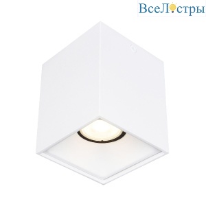 Накладной светильник ST Luce ST168.502.01
