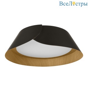 Потолочный светильник Loft IT Lane 10370 Black