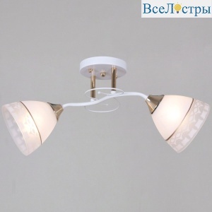 Потолочный светильник Reluce 11460-0.3-02 WH+FG