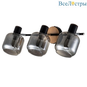 Спот Escada Hugge 10177/3A Black