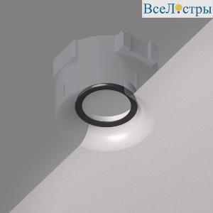 Кольцо фиксирующее для светильников Denkirs DK2080-WH DK2081-WH DK2085-BK