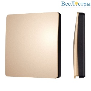 Кнопочная панель Arlight KINETIC-801-22-1G-WP-SUF Gold (No battery, IP67, 433Mhz) 051676
