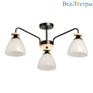 Люстра на штанге De Markt Дэла 635018003