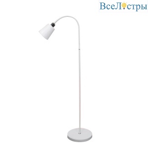 Торшер General GFL-011 801011