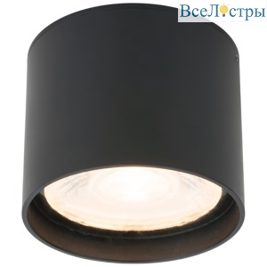Уличный потолочный светильник Elektrostandard Light LED 4690389176975