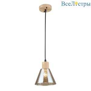 Подвесной светильник Arte Lamp Lancaster A5891SP-1BK