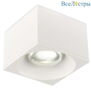 Накладной светильник Simple Story 2061-LED12CLW