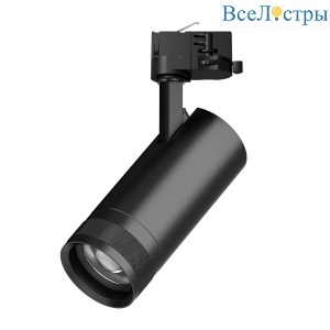 Трековый трехфазный светильник Quattro 20-55G с адаптером Lightstar Canno Pro C4207QT