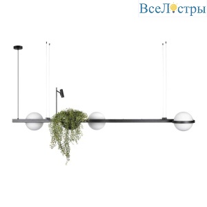 Подвесной светильник Loft IT Jardin 10121/C