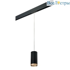 Трековый светильник Lightstar Rullo (216487+595887+203490) PRORP648790