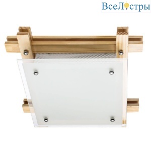 Потолочный светильник Arte Lamp 94 A6460PL-2BR