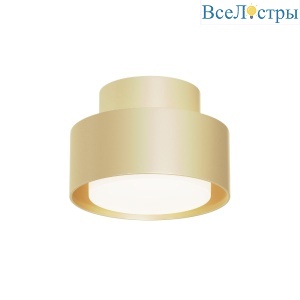 Потолочный светильник Maytoni Space C092CL-GX53-MG