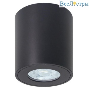 Потолочный светильник Arte Lamp Tino A1469PL-1BK