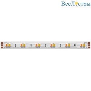Светодиодная лента Maytoni Led Strip 24В 2835 12Вт/м 2700-6000К 5м IP20 201123
