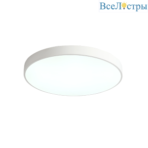Потолочный светильник Zortes Tortty ZRS.02564.96