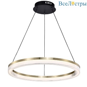 Подвесная люстра Favourite Cirkler 4400-6P