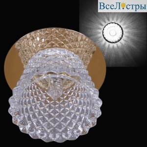 Встраиваемый светильник Reluce 08078-9.0-001H G9 GD