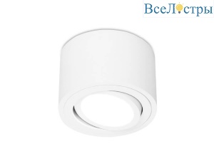 Накладной светильник Ambrella light Techno Spot TN222