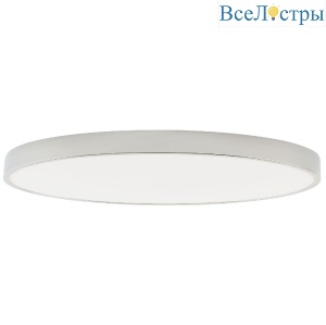 Потолочный светильник Zortes Tortty ZRS.02565.120