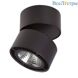 Светильник на штанге Lightstar Forte Muro 214837