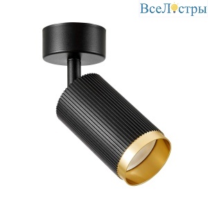 Спот Lampit Rin TS TK10-C1 BK+GD