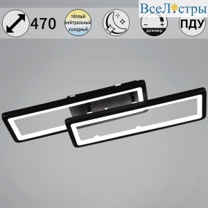 Потолочный светильник Reluce 03629-0.3-02A BK