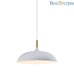 Подвесной светильник Moderli Hygo V11447-1P