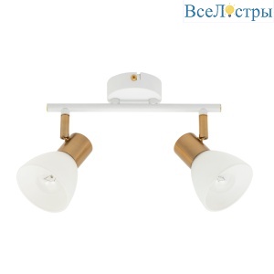 Спот Arte Lamp Falena A3117PL-2WH