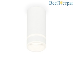 Потолочный светильник Ambrella Light Techno Spot XS8161005 (C8161, N8444)