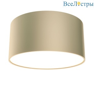 Потолочный светодиодный светильник Maytoni Technical Zon C032CL-12W4K-RD-MG