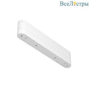 Адаптер к трековому светильнику Maytoni Technical Radity TRA084FC-11LW