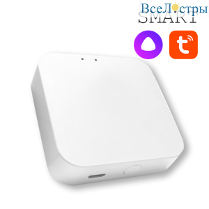 Конвертер WI-FI для трековой системы EKS Colibri Smart 0У-00002005