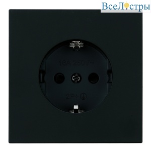 Розетка 1-местная с защитной шторкой с/з (механизм) Stekker 250В 16А Мия RST16-3110-05 черный бархат 50454