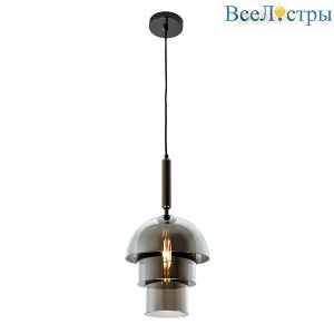 Подвесной светильник Modestyle MS.220.250 BK
