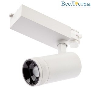 Трековый светильник ЭРА STR-30-99-40K-W30 Б0049785